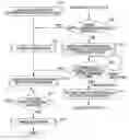 Fig. 01 - Image capturing device and activation method therefor