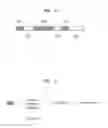 Fig. 04 - Imaging apparatus and method of providing imaging information