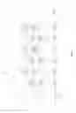 Fig. 04 - Method for protecting a video frame sequence against packet loss