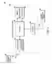 Fig. 05 - Method and apparatus for providing customized information