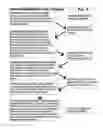 Fig. 04 - Multi-media presentation system