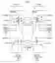 Fig. 07 - COMMUNICATION SYSTEM, TRANSMITTER, RECEIVER, COMMUNICATION METHOD, PROGRAM, AND COMMUNICATION CABLE
