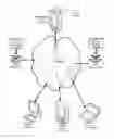 Fig. 01 - Systems, Apparatuses, Methods and Computer Executable Code for Facilitating Broadcast, Publication and/or Sharing of Video from a User Device to one or more Other User Devices in a Social Networking Environment