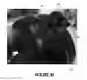Fig. 12 - Modular voice amplification system for protective mask