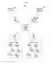Fig. 02 - MANAGEMENT OF TRANSIENT NODES AND MULTIPLE CAPABILITY INSTANCES IN WIRELESS M2M NETWORKS