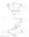 Fig. 02 - Method of providing information on device-to-device resources, cellular network node and user equipment