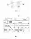 Fig. 02 - Mesh network applied to arena events