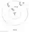 Fig. 04 - Multicast aware beamforming for wireless local area networks