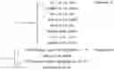Fig. 03 - Method and apparatus for acquiring channel state information in antenna array