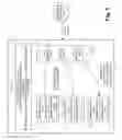 Fig. 06 - Method and system for idle mode transfer for load balancing across distributed data plane processing entities for mobile core network