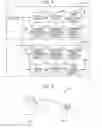 Fig. 06 - WIRELESS COMMUNICATION DEVICE AND WIRELESS COMMUNICATION METHOD
