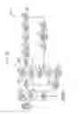 Fig. 12 - WIRELESS COMMUNICATION DEVICE AND WIRELESS COMMUNICATION METHOD