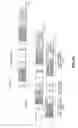 Fig. 11 - Channel frame structures for high efficiency wireless LAN (HEW)