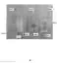 Fig. 12 - SYSTEM AND METHOD FOR PERSONAL COMMUNICATIONS AND PROTECTION USING INTELLIGENT ELECTRONICS