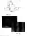 Fig. 03 - High rate electric field driven nanoelement assembly on an insulated surface