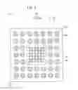 Fig. 03 - Circuit substrate and method for manufacturing the same