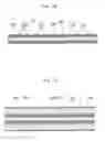 Fig. 05 - Printed wiring board and method for manufacturing the same