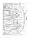 Fig. 03 - Insert and apparatus for transplanting plants