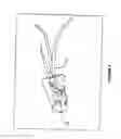 Fig. 05 - Insert and apparatus for transplanting plants