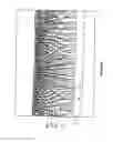 Fig. 09 - Insert and apparatus for transplanting plants