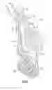 Fig. 09 - Pet stroller with latchable canopy bar