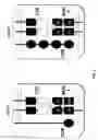 Fig. 02 - Genetically modified T cell receptor mice