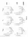 Fig. 26 - Genetically modified T cell receptor mice
