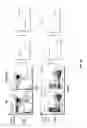 Fig. 31 - Genetically modified T cell receptor mice