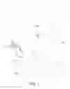 Fig. 02 - Rotating Bucket Blind Apparatus