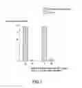Fig. 05 - Antifungal composite and method for manufacturing the same