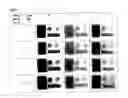 Fig. 05 - INKJET PRINTING WITH EDIBLE INK