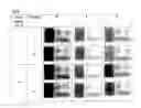 Fig. 07 - INKJET PRINTING WITH EDIBLE INK