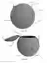 Fig. 05 - FOOD STORAGE CONTAINER AND METHODS OF USE