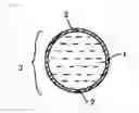 Fig. 02 - Disintegrable capsule, manufacturing method for same, and smoking device containing said disintegrable capsule