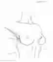 Fig. 03 - BRA WITH ADVANCED ANATOMICAL SUPPORT