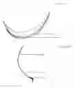 Fig. 10 - BRA WITH ADVANCED ANATOMICAL SUPPORT