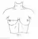 Fig. 15 - BRA WITH ADVANCED ANATOMICAL SUPPORT