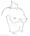 Fig. 16 - BRA WITH ADVANCED ANATOMICAL SUPPORT