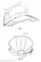 Fig. 02 - Eyewear retainer