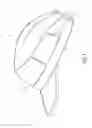 Fig. 04 - Eyewear retainer