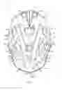 Fig. 06 - LACROSSE HELMET