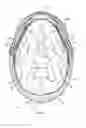 Fig. 07 - LACROSSE HELMET