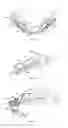 Fig. 08 - LACROSSE HELMET