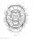 Fig. 09 - LACROSSE HELMET