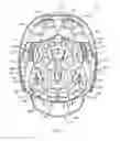 Fig. 20 - LACROSSE HELMET