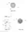 Fig. 07 - SYSTEMS AND METHODS FOR CUSTOMIZABLE, EMBELLISHMENTS