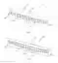 Fig. 06 - Molded Cosmetic Applicators With Perforated Bristles And Mold Therefor