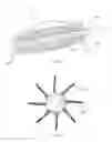 Fig. 16 - Molded Cosmetic Applicators With Perforated Bristles And Mold Therefor