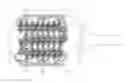 Fig. 01 - Brush with replaceable twisted-in-wire bristle assembly