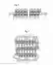 Fig. 04 - Brush with replaceable twisted-in-wire bristle assembly